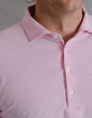 B.Draddy Brandtley Polo