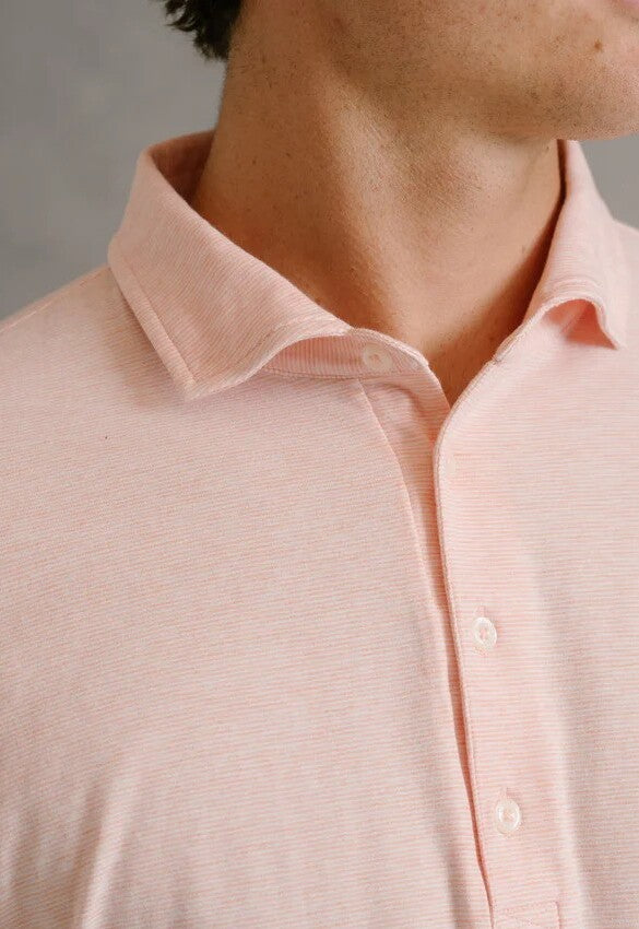 B.Draddy Brandtley Polo