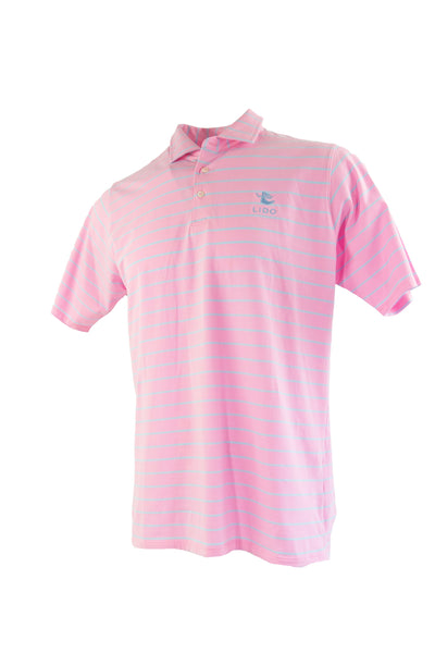 B.Draddy Big League Darrell Polo