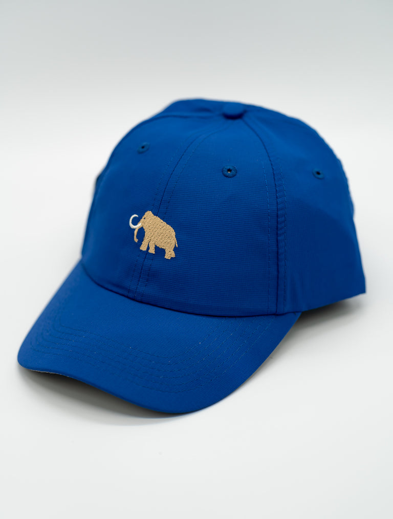 Imperial Blue Adjustable Performance Hat