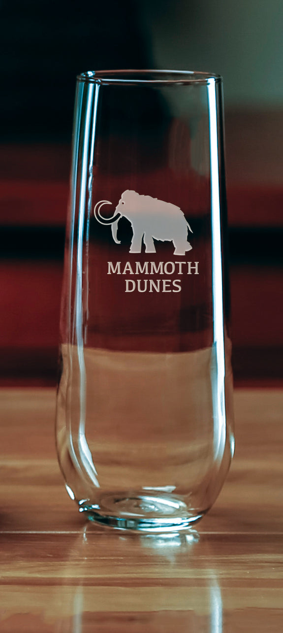 Mammoth Dunes Stemless Champagne Flute